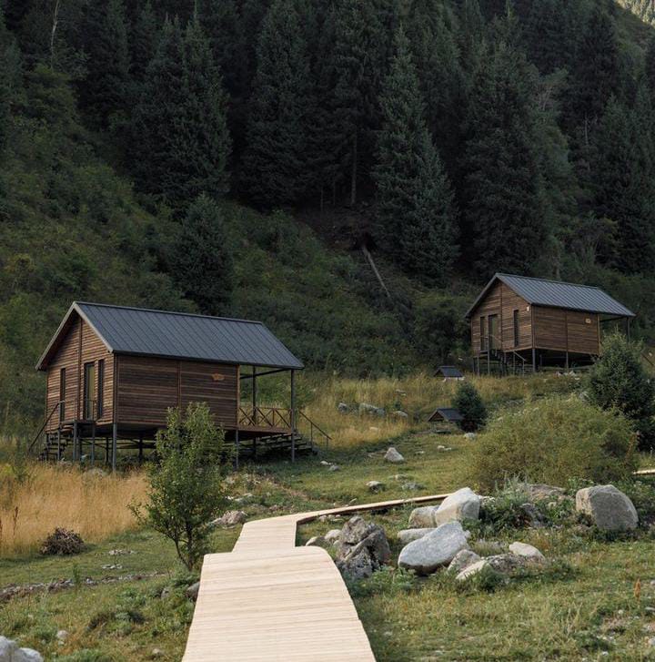 Cabin 